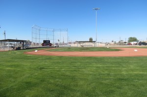 It's the greenest thing in Parker. 